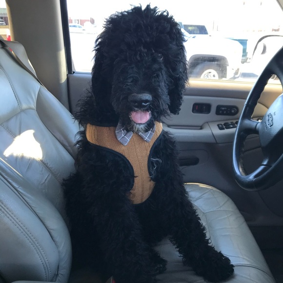 Meet your Posher, Lisa - Picture 2 of 2